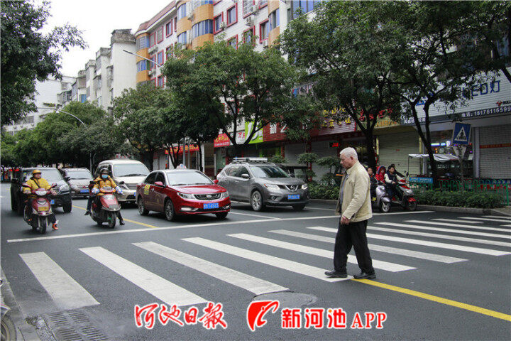 在金城江，斑马线让行已成为随处可见的温暖风景线